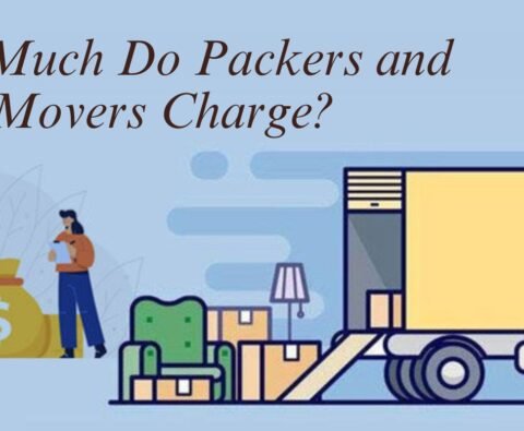 Packers and Movers in Noida